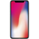 iPhone 11 Reparatur