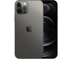iPhone 12 Pro Max Reparatur