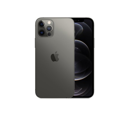 iPhone 13 Pro Max Reparatur