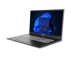 DW-STORE Mobile 1716U, Core i5-1235U, 8GB RAM, 512GB SSD, DE