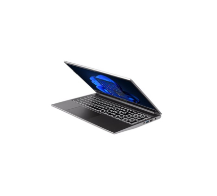 DW-STORE Mobile Mobile 1517, Core i7-1255U, 16GB RAM, 1TB SSD, DE, WIN11 PRO