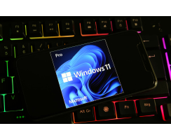 DW-STORE Windows 11 Upgrade