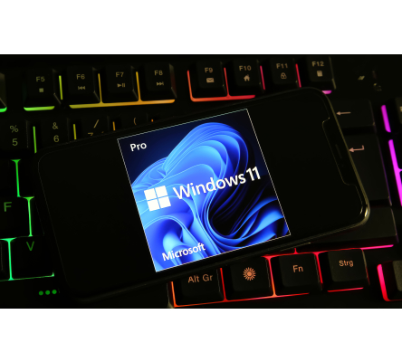 DW-STORE Windows 11 Upgrade incl. Lizenz