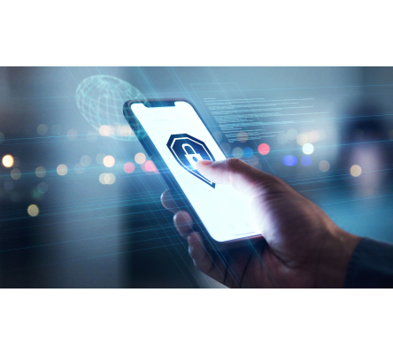 DW-STORE Virenschutz Smartphone