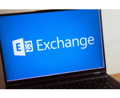 DW-STORE Exchange Professional 50 GB