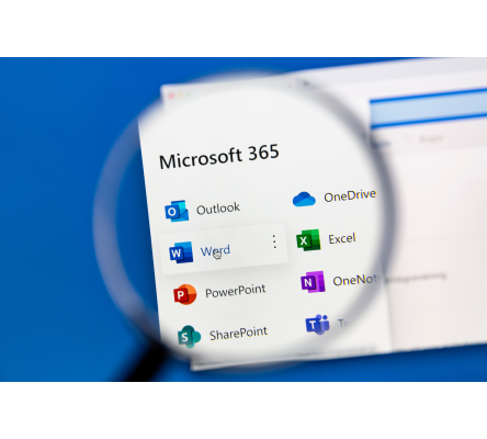 Microsoft 365 Business Standard