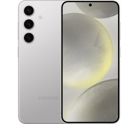 Samsung S24 Plus  SM-S926B Reparatur