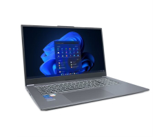 DW-STORE Mobile 1717R, Core i7-1355U,16GB RAM, 1000GB SSD, DE Windows 11 Pro