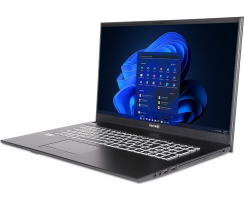 DW-STORE MOBILE 1716R i3-1315U W11PRO
