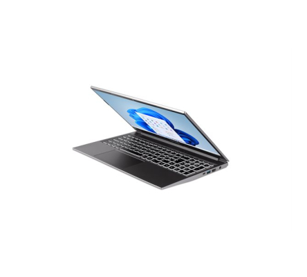 DW-STORE MOBILE 1517R i5-1334U W11 HOME 1000GB SSD 16GB