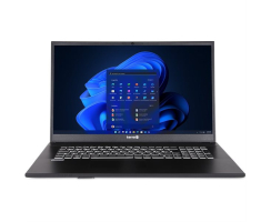 DW-STORE MOBILE 1716R i5-1334U W11P