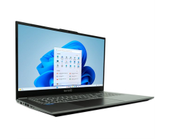 DW-STORE MOBILE 1717R i5-1334U W11
