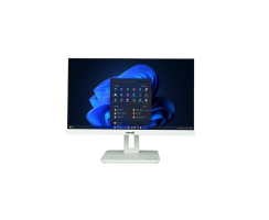 DW-STORE ALL-IN-ONE-PC 2420HA wh GREENLINE